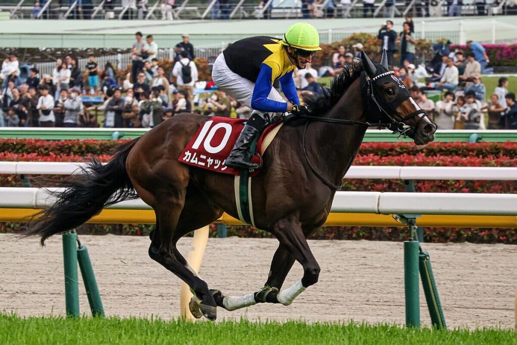 【JRA秋華賞2025】主役はカムニャック、死角は“京都内回り”だけ？