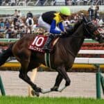 【JRA】カムニャック始動戦は阪神牝馬S、ヴィクトリアマイル見据え