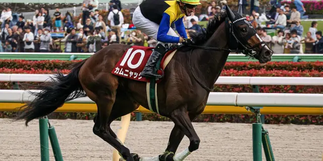 【JRA】カムニャック始動戦は阪神牝馬S、ヴィクトリアマイル見据え