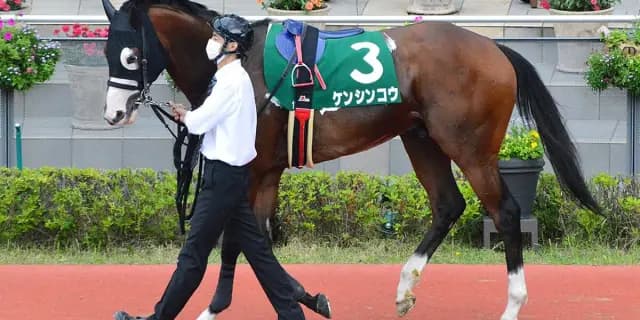 ケンシンコウが現役引退、今後は種牡馬入り