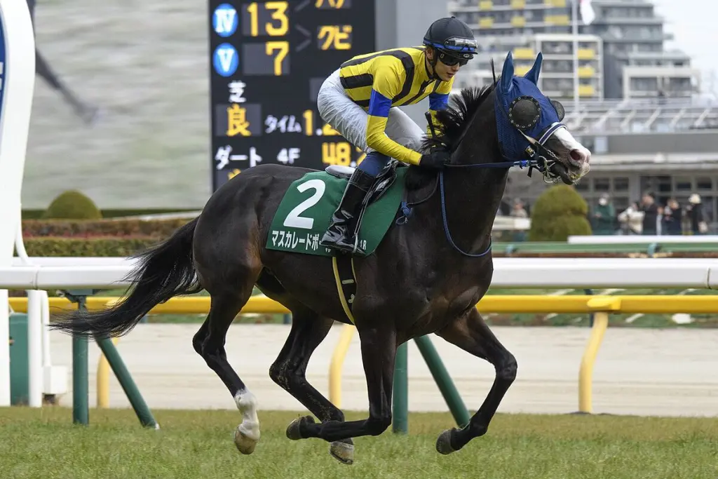 【ジャパンC予想2025】マスカレードボールが1週前追い切りで順調アピール、初の中3週でも問題なし