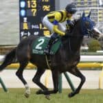 【JRA】天皇賞秋を制したマスカレードボール、次走はジャパンCへ