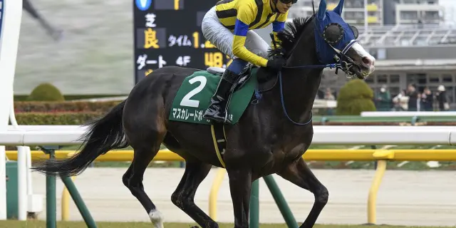 【ジャパンC予想2025】マスカレードボールが1週前追い切りで順調アピール、初の中3週でも問題なし