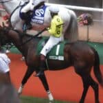 【関屋記念2026】新潟巧者シリウスコルトが反撃へ！敗戦後に巻き返すパターンは今回も続くか？