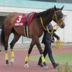 【クイーン賞2026予想】テンカジョウ57キロ克服なるか？軽量馬が鍵握る