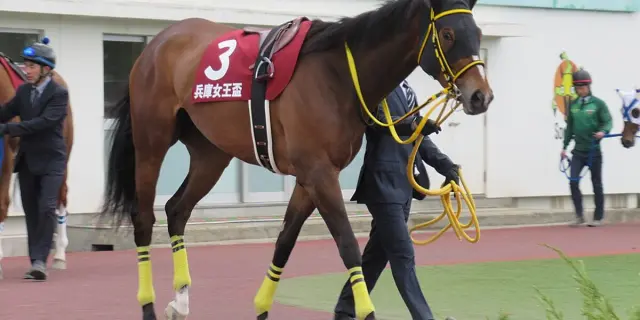 【スパーキングレディーカップ2025予想】テンカジョウの連勝なるか？ライバル候補3頭はこの馬だ