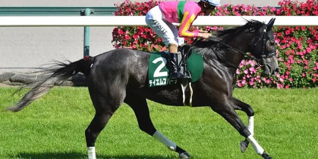 【セントウルステークス2025】復調気配のテイエムスパーダ、再び波乱を呼ぶか？