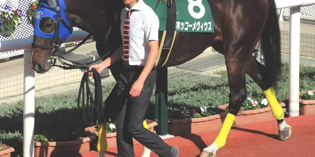 【JRA】障害重賞4勝の名ジャンパー・ホッコーメヴィウスが現役引退、今後は関西大学で乗馬に