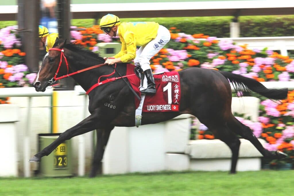 【スプリンターズS2025】香港G1・4勝のラッキースワイネスが予備登録