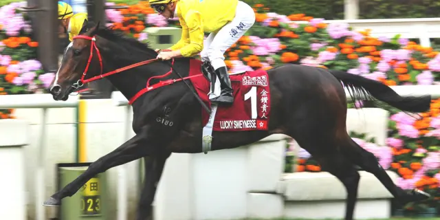 【スプリンターズS2025】香港G1・4勝のラッキースワイネスが予備登録
