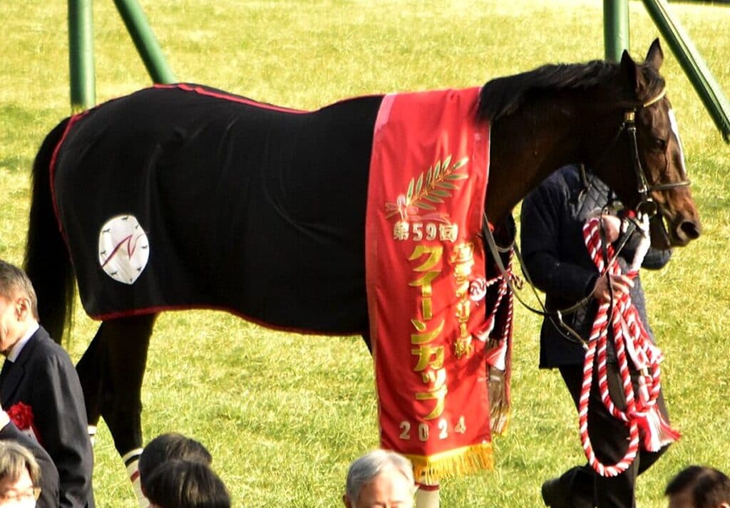 【新潟記念2025予想】57キロも問題なし！クイーンズウォーク、持続力武器に戴冠狙う