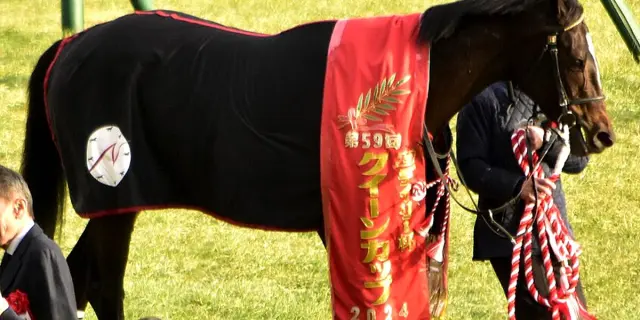 【新潟記念2025予想】57キロも問題なし！クイーンズウォーク、持続力武器に戴冠狙う