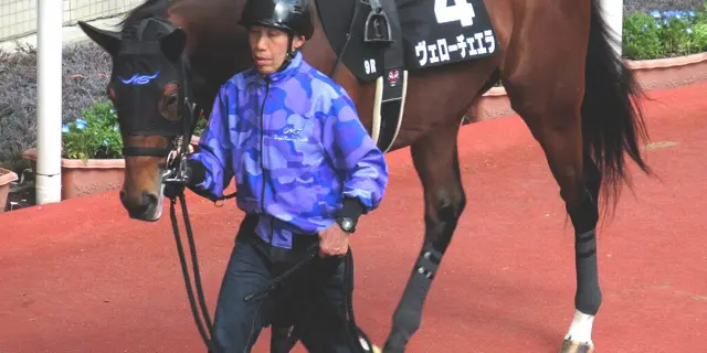 【札幌記念2025予想】夏は格より調子！レコードVで勢い付いたヴェローチェエラに注目