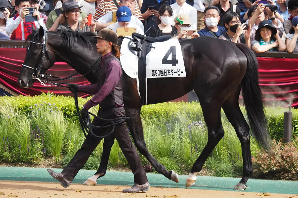 【JRA】トップナイフが再び戦線離脱、屈腱炎で9カ月以上の休養見通し