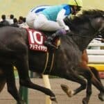 【阪神大賞典2026予想】アドマイヤテラ1週前追い切りで圧倒、ラスト11秒9で2頭突き放す