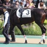 【JRA京都記念2026】エリキング確勝級か？舞台・適性・枠順と好条件揃い