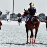 【エリザベス女王杯2025予想】データが示す“外国人騎手優勢”、今年の主役候補はこの馬だ