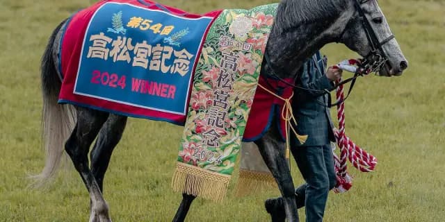 【JRA】マッドクールが現役引退、種牡馬入り