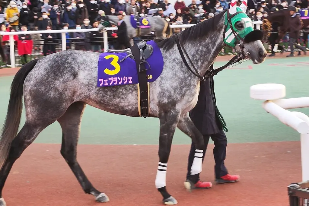 フェブランシェがBCフィリー＆メアスプリントを右前肢違和感で回避