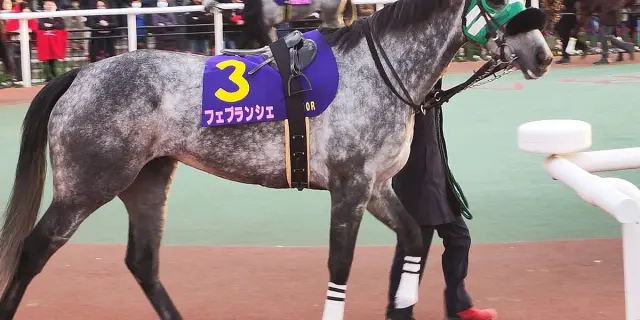 重賞3勝のフェブランシェが引退、北海道で繁殖入りへ