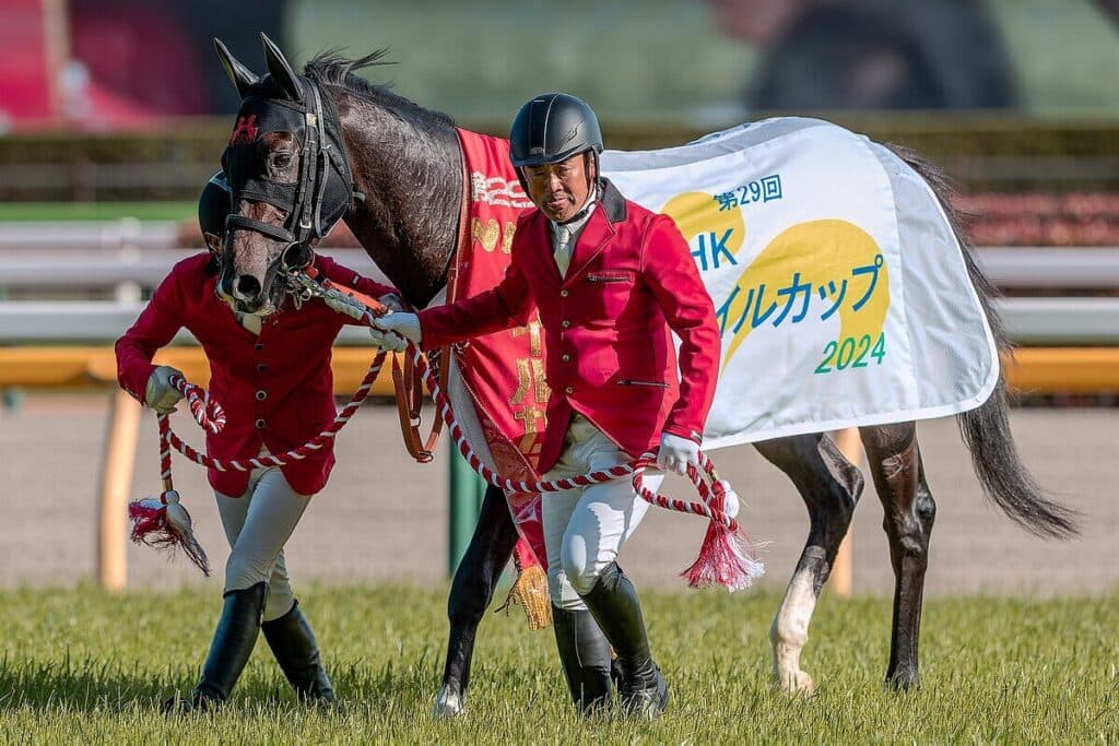 【JRA】ジャンタルマンタルはマイルCSへ、香港マイルへも予備登録