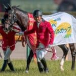 【マイルCS2025】秋2戦目のジャンタルマンタル、軽めの追い切りで本番へ万全