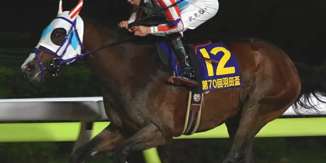 【ジャパンダートクラシック2025予想】暴走か快走か？折り合いカギのナチュラルライズ