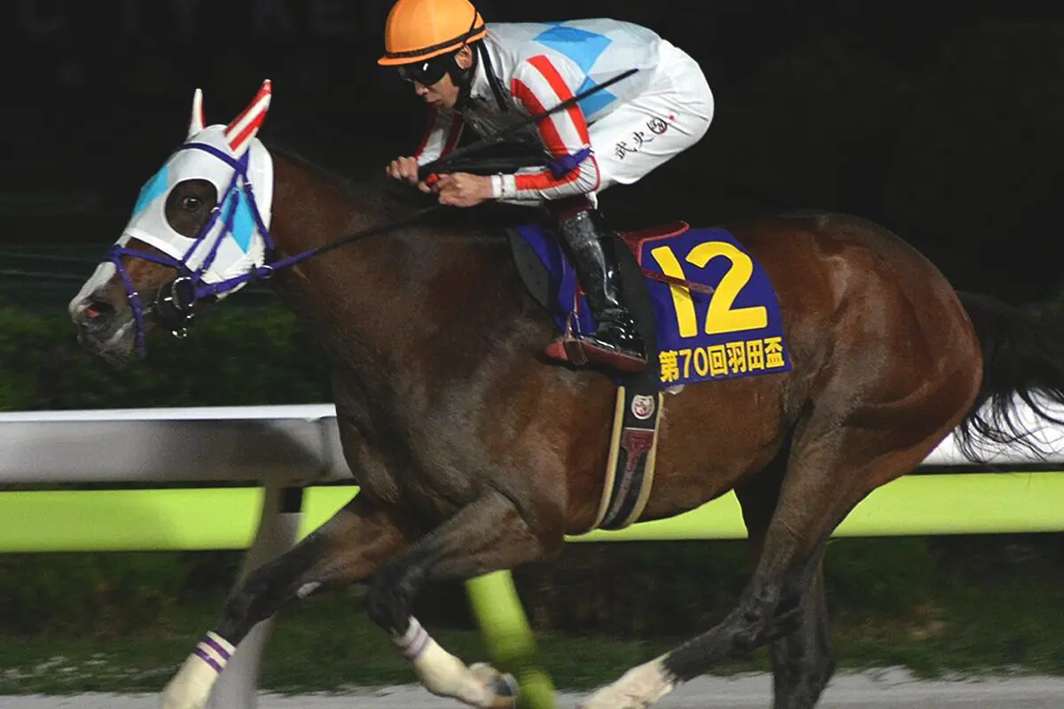 【ジャパンダートクラシック2025予想】暴走か快走か？折り合いカギのナチュラルライズ