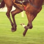 【アルゼンチン共和国杯2025予想】ホーエリート反撃態勢整う、タフな持続力勝負は歓迎