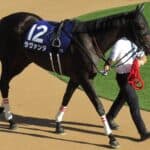 【JRA】ラヴァンダがエリザベス女王杯を回避、マイルCSへ