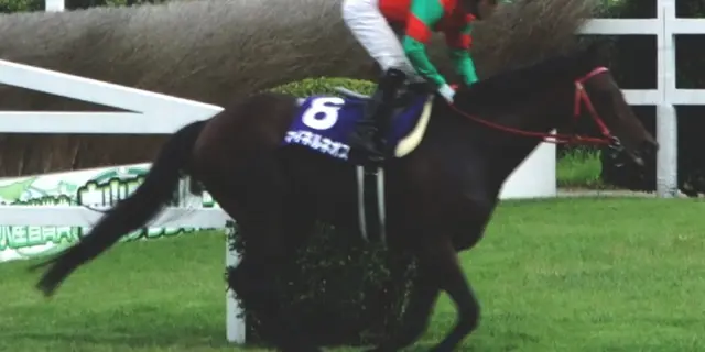 2011年中山グランドジャンプ覇者・マイネルネオスが死去、22歳の生涯に幕