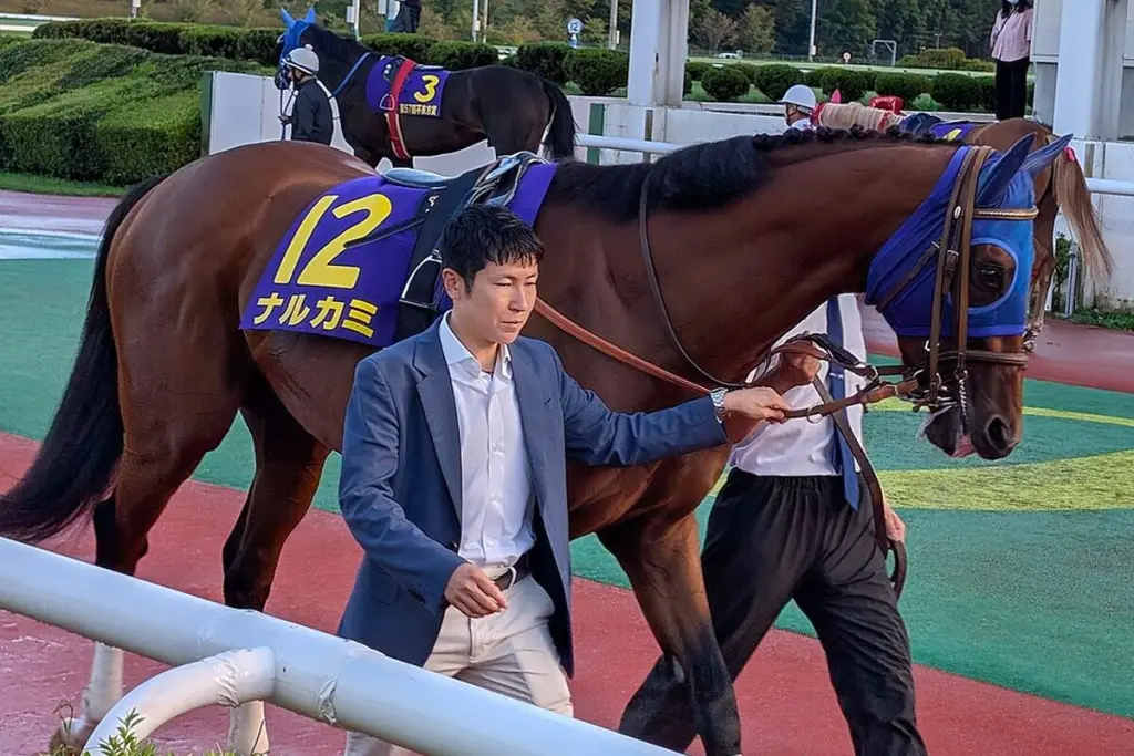 【チャンピオンズC予想2025】ナルカミが1週前追い切りで先着、最終調整へ向け順調アピール