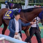 【チャンピオンズC予想2025】ナルカミが1週前追い切りで先着、最終調整へ向け順調アピール