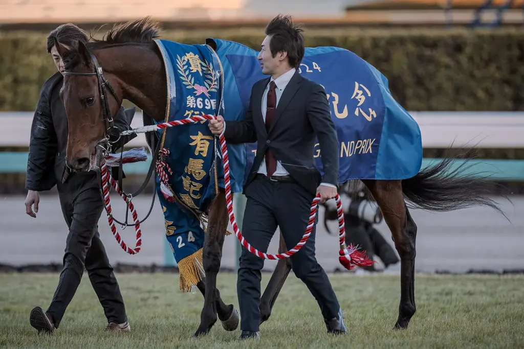 【有馬記念2025予想】偉業かかるレガレイラ、昨年の再現なるか？