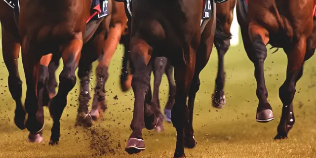 【シンザン記念2026予想】京都1600mなら巻き返しの期待十分！バルセシート、距離短縮で反撃必至