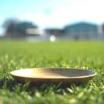 【中山金杯2026予想】一年の計は金杯にあり！アンゴラブラックやカネラフィーナなど出走予定馬を考察