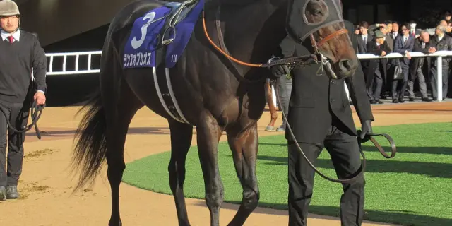 【JRA京都金杯2026予想】ランスオブカオス地力上位、吉村コンビでV獲りへ