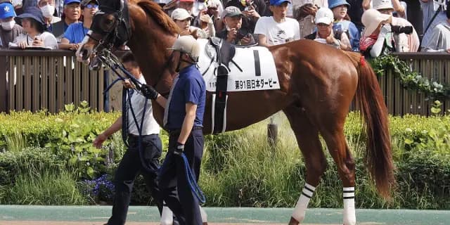 【有馬記念2025】サンライズアースが回避、右前屈腱炎を発症