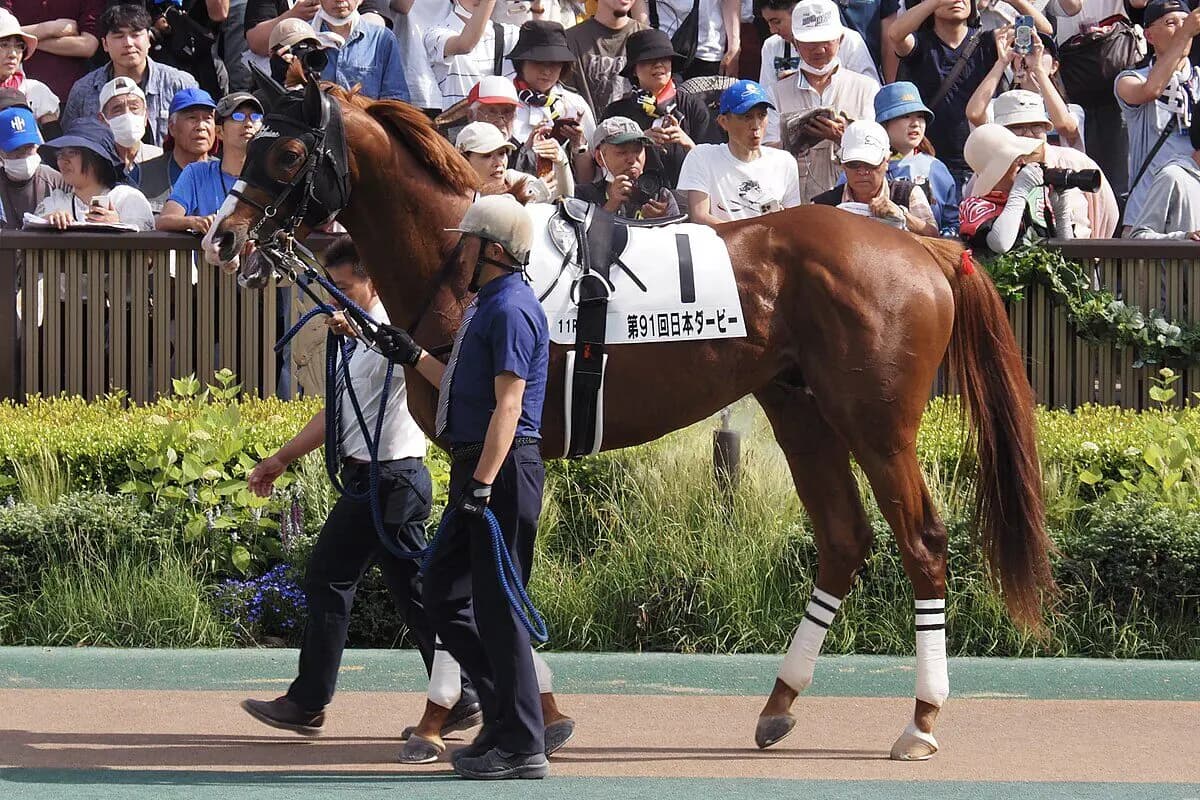 【有馬記念2025】サンライズアースが回避、右前屈腱炎を発症