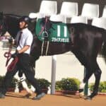 【プロキオンS予想2026】京都巧者のブライアンセンス、得意舞台で完全復活へ