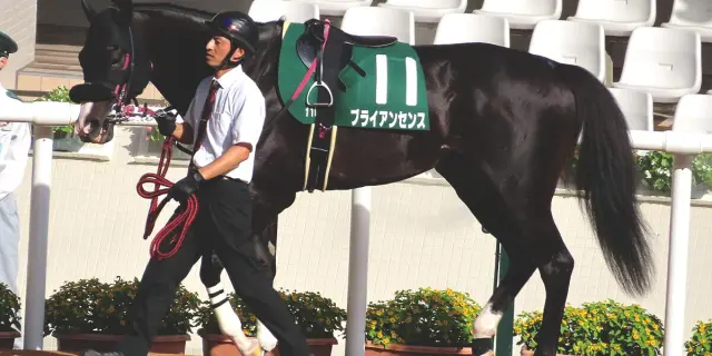 【プロキオンS予想2026】京都巧者のブライアンセンス、得意舞台で完全復活へ