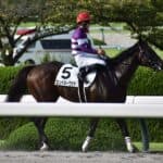 【根岸S予想2026】エンペラーワケア、実績＆適性ともに上位