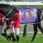 【京都記念2026】ヘデントール始動、ドバイシーマクラシックへも予備登録