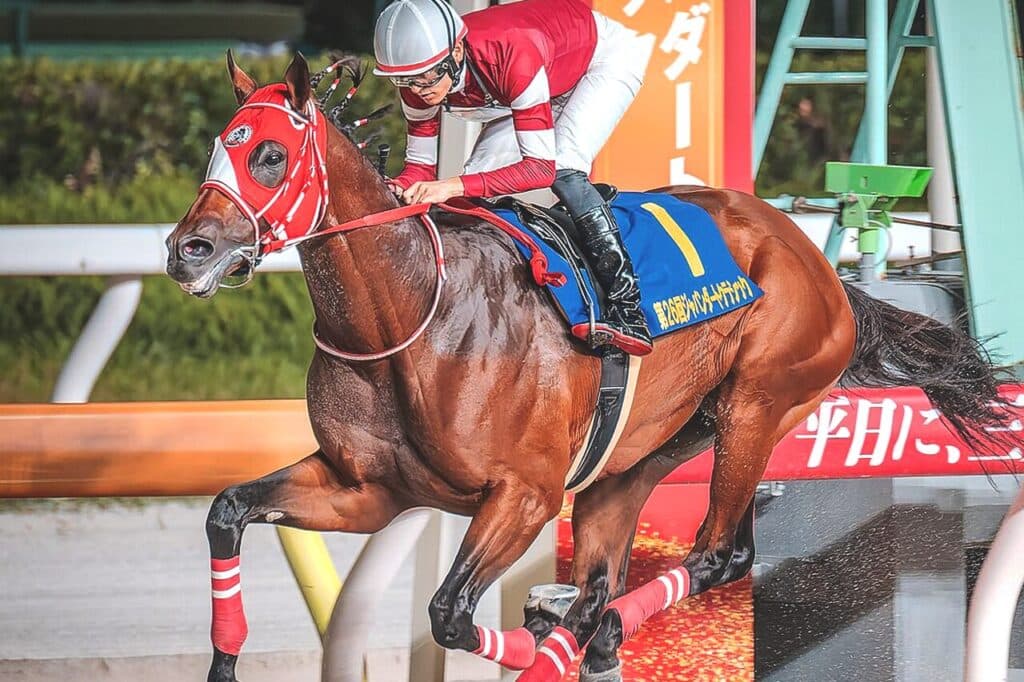 【サウジC2026】フォーエバーヤング、国内最終追いで自己ベスト77秒6