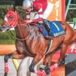 【サウジC2026】フォーエバーヤング、国内最終追いで自己ベスト77秒6