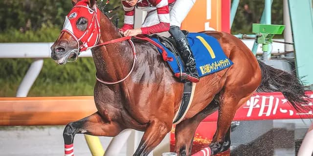 【サウジC2026】フォーエバーヤング、国内最終追いで自己ベスト77秒6