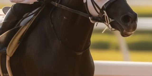 【フェブラリーステークス2026予想】絶好の狙い目は、遅咲きの実力馬サイモンザナドゥ