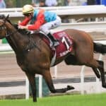 【クイーンズシルバージュビリーC2026】香港スプリント界の絶対王者カーインライジング、歴史塗り替える18連勝の快挙