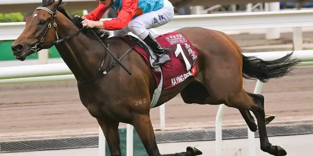 【クイーンズシルバージュビリーC2026】香港スプリント界の絶対王者カーインライジング、歴史塗り替える18連勝の快挙