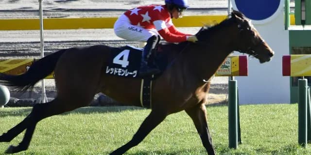 【東京新聞杯2026予想】7歳で新境地へ！レッドモンレーヴ✕佐々木大輔騎手との新コンビで大舞台へ